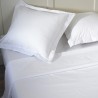 drap-plat-hotel-percale-coton-versailles