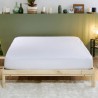 Housse de protection de matelas anti-punaise - Comptoir Textile